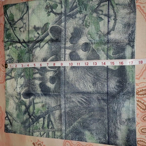 Raccoon Pillow Cover. Real Raccoon. Coon - Picture 10 of 11